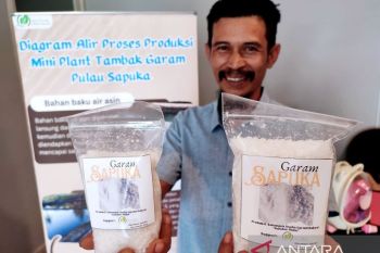 YRC Indonesia hadirkan ladang garam di Pulau Sapuka Pangkep Sulsel