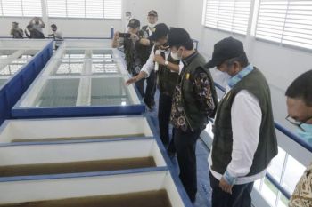 Warga Bungaraya kini dapat nikmati air bersih dari Sungai Siak