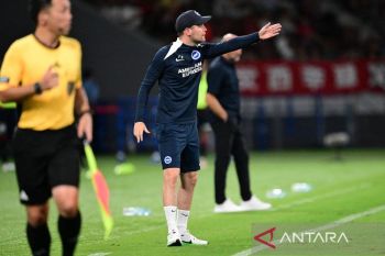 Brighton puji kemampuan pelatih termuda