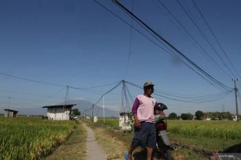 Listrik masuk sawah di Ngawi