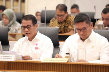Kementan pastikan program cetak sawah lancar