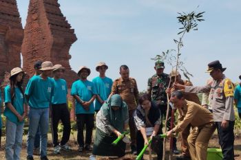 Generasi muda tanam pohon di Situs Sejarah Trowulan, Jatim, jaga kelestarian