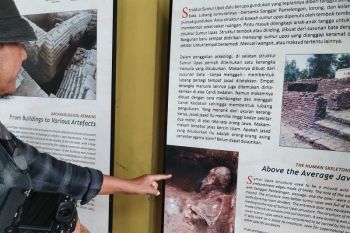 Balai Kebudayaan Jatim menelusuri DNA kerangka manusia Majapahit