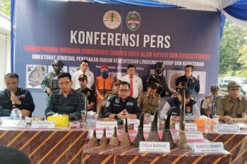 KLHK dalami kasus penyelundupan  cula badak di Palembang