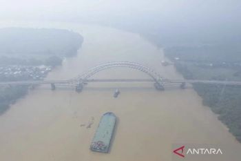 Jambi diselimuti kabut asap karhutla
