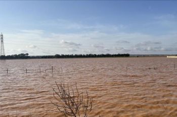 Sedikitnya170 orang tewas di Nigeria akibat banjir