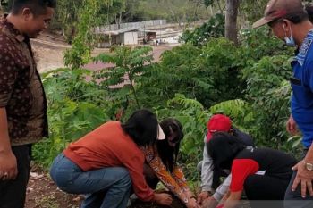 Kemenag Manado tanam pohon di Pura Segara  Tirtha Amertha