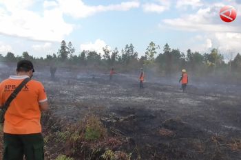 DPRD Palangka Raya minta masyarakat selalu waspada terhadap karhutla