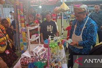 Pemkot Jayapura: Festival Berg En Daal gali potensi UMKM