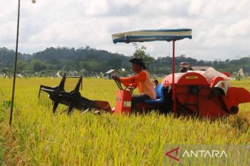 Kementan perluas lahan pertanian di Kaltim antisipasi ancaman darurat pangan