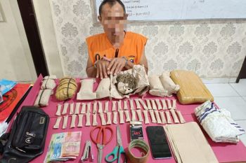 Polres Siak tangkap pria miliki 1,8 kg ganja kering