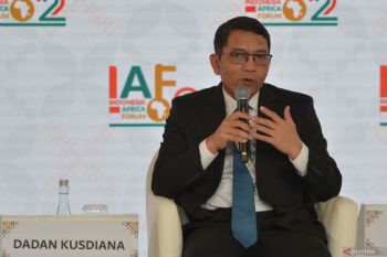 Indonesia gali perluasan pemanfaatan panas bumi Afrika