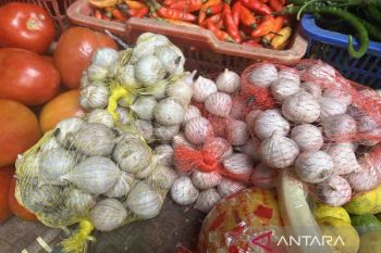 Harga pangan Selasa naik tipis: Bawang putih jadi Rp40.310 per kg