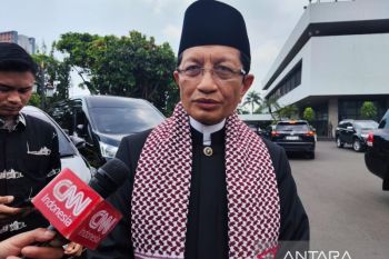 Pope Francis' visit proves Indonesia treasures diversity: grand Imam