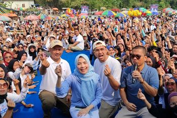 Penunjukan artis jadi ketua timses itu cara raih popularitas