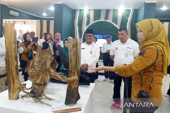 Kalsel luncurkan "Nature Exhibition Banua Botanical Garden"