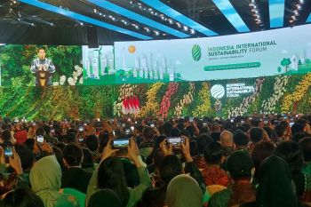 Indonesia's mangroves 12 times better in carbon absorption: President