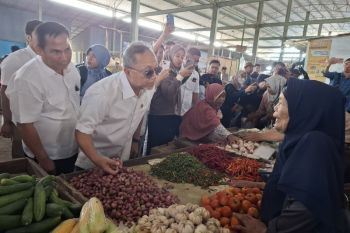 Mendag pastikan pemerintah tetap jaga stabilitas harga pangan