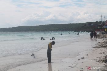 BI: Bulukumba catat inflasi terendah di Sulsel per Agustus 2024