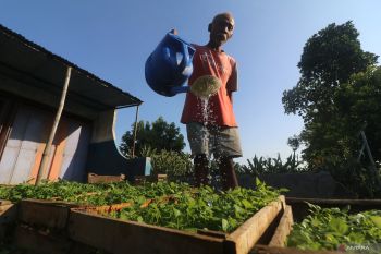 Nilai tukar petani Jawa Timur turun