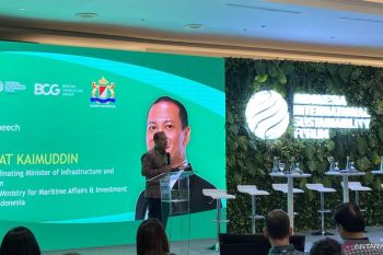 Indonesia berpeluang jadi pemasok alternatif panel surya dunia