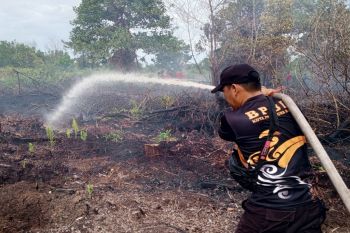 BPBD Palangka Raya gencarkan patroli di wilayah rawan karhutla