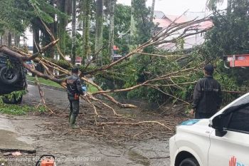 BPBD Padang keluarkan imbauan waspada bencana karena hujan