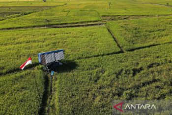 Realisasi LTT Konawe capai 4.559 hektare hingga Agustus 2024