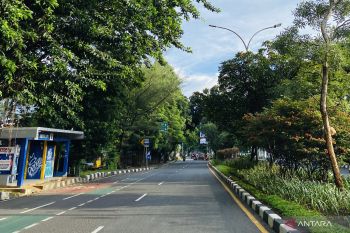 Cuaca ekstrem, Pemkot Kota Bogor antisipasi pohon tumbang