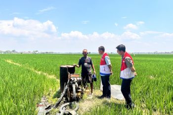 Pertamina bantah pengurangan pasokan elpiji subsidi Solo Raya