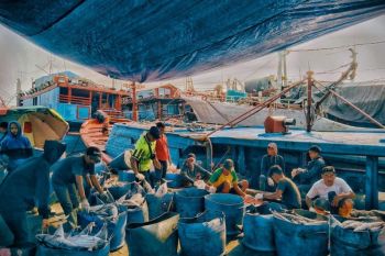 Perikanan Indonesia serap 4.680 ton ikan tangkapan nelayan