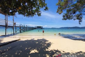 Petualangan Eksotis di Borneo: Menikmati keindahan bawah laut hingga buah tangan Kinabalu