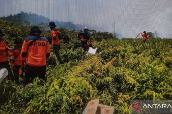 BPBD Koltim mitigasi Karhutla di musim kemarau