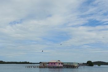 Cuaca Kepri hari ini diprakirakan cerah berawan