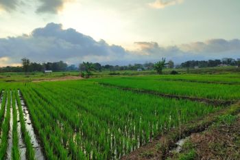 BMKG prakirakan cuaca Manggarai Timur berawan hingga hujan ringan