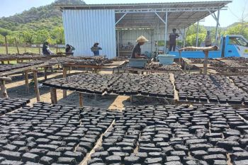 PLN NTB manfaatkan briket biomassa limbah jagung di Sumbawa