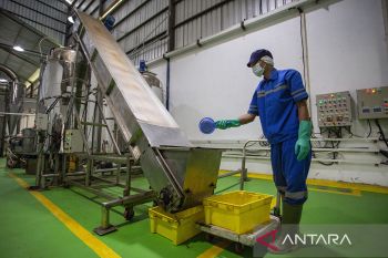 Pengolahan Hidrolisat protein ikan