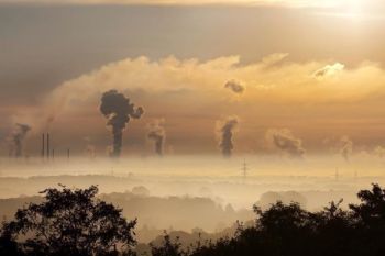 Kemenhut: Perpres 110 Tahun 2025 perkuat tata kelola karbon nasional