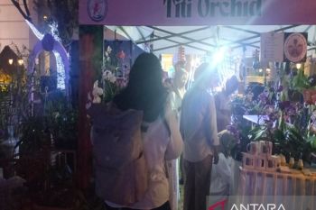90 pecinta anggrek ikuti Festival Anggrek Tricolur di Sleman