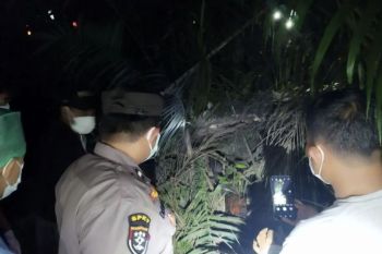 Selang sehari penemuan mayat membusuk di Jalan Duri-Dumai pelakunya diringkus