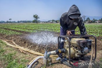 Pompanisasi perluas lahan produksi padi di Temanggung