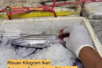 Karantina jaga kualitas produk perikanan Sulut