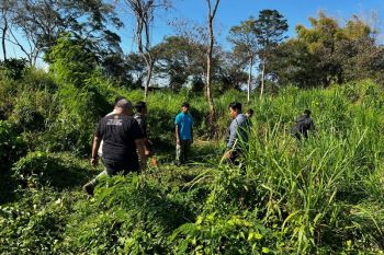 Pegawai Bali Safari diseruduk gajah hingga tewas