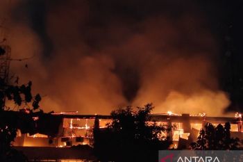 Kantor Dinas Kesehatan NTT terbakar