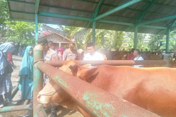 Pemkab Pasaman Barat pastikan stok pangan tersedia