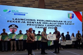 18.612 petani sawit di Lampung terima jaminan sosial ketenagakerjaan