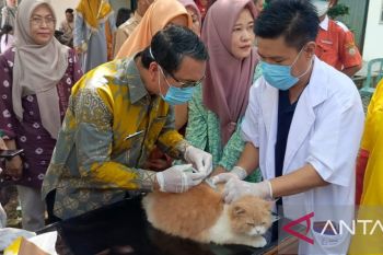 Distan OKU gelar gebyar vaksinasi pada Hari Rabies Sedunia