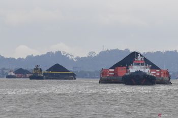 Harga batubara acuan Juli naik 8,74 dolar AS per ton