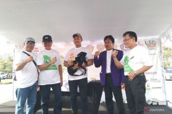 Bali intensifies rabies vaccination for pets