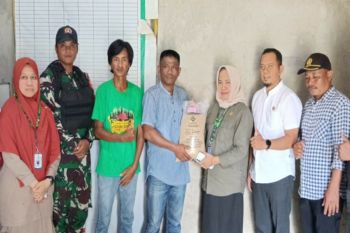 BPSIP Sulbar dorong petani padi di Mamuju tingkatkan produksi